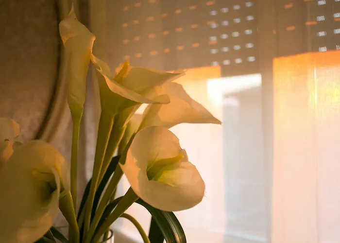 Konukevi Dolce Laguna 4*