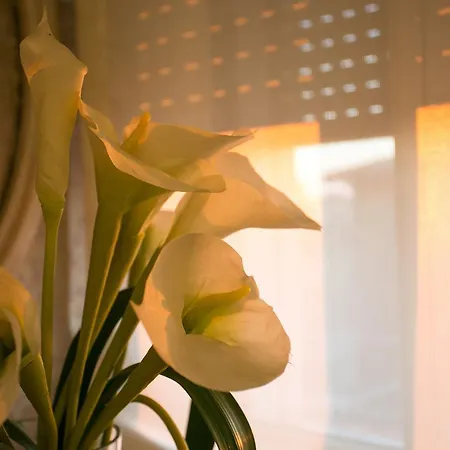 Guest house Dolce Laguna 4*